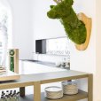 Greenarea, decoración vegetal, jardines verticales, objetos de diseño de España